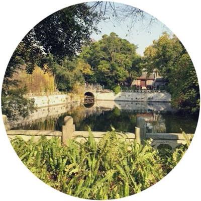 缪斯余音果盘版下载